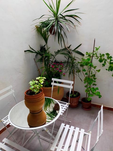 Patio, Balcony/Terrace