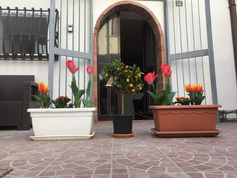 Patio, Facade/entrance