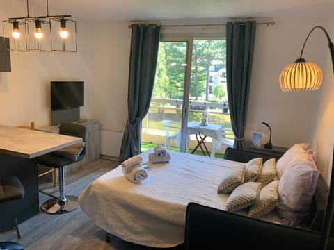 Studio les mélèzes vue montagne Barcelonnette Apartment in Barcelonnette