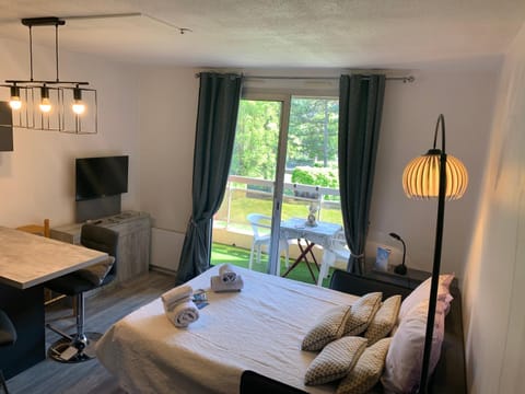 Studio les mélèzes vue montagne Barcelonnette Apartment in Barcelonnette