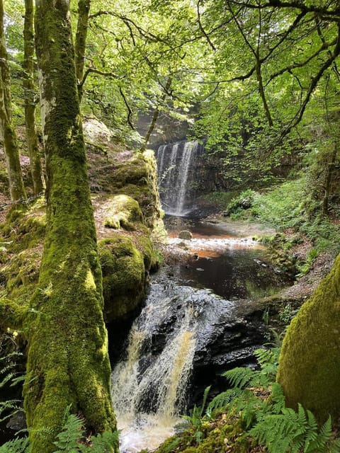 Luxury Rural Ayrshire Glamping Pod Campground/ 
RV Resort in England