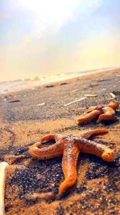 3 bedroom modern flat, sleeps 8, Mablethorpe, Linc Apartment in Mablethorpe