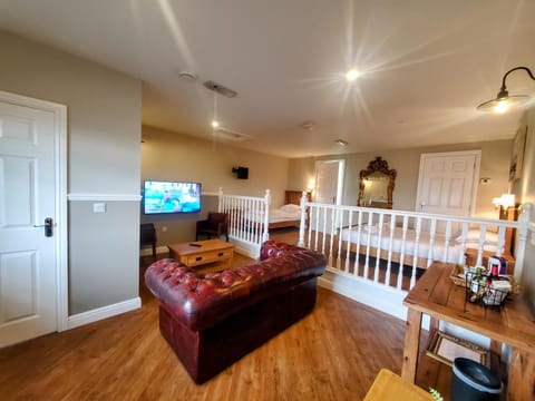 Bed, TV and multimedia, Living room, Photo of the whole room, Seating area, Bedroom