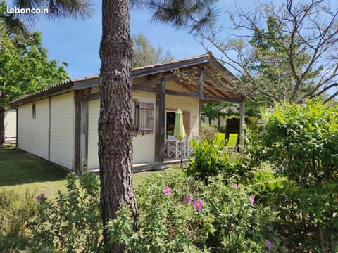 Property building, Natural landscape, Garden, Garden view