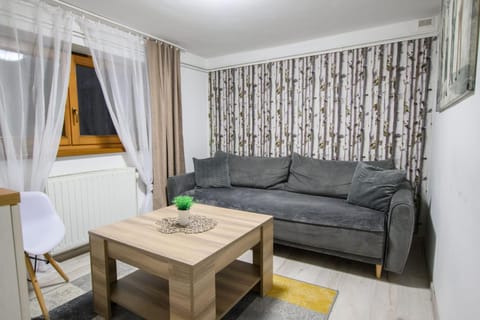 Living room, Photo of the whole room, Seating area