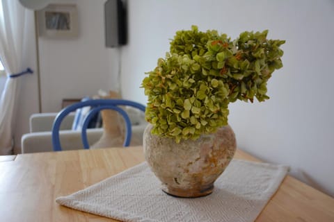 VILLA BIRIMIŠA LOPUD ISLAND Apartment hotel in Lopud