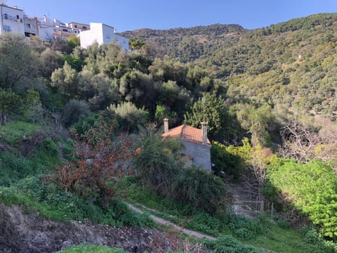 Natural landscape