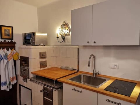 Kitchen or kitchenette, dishwasher, stove