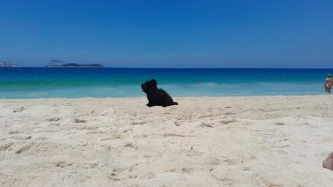 Nearby landmark, Beach, Sea view