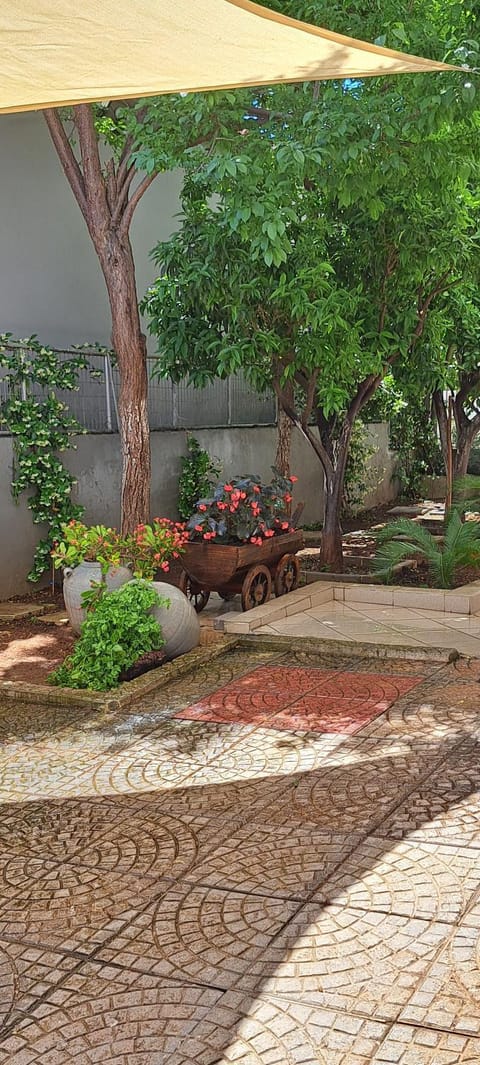 Super renovated maisonette - Σούπερ ανακαινισμένη μεζονέτα House in Messenia