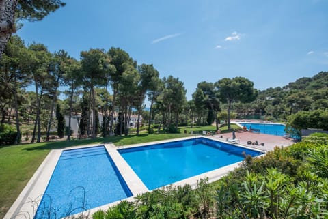 Swimming pool, Swimming pool
