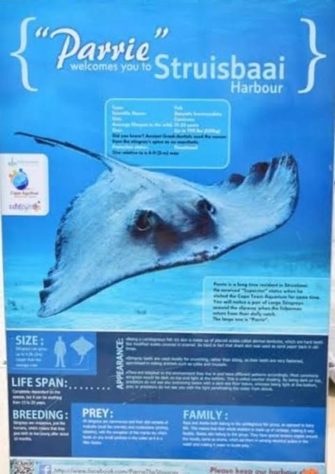 Travellers Treat - 6 Sleeper House just minutes from the beach! House in Western Cape