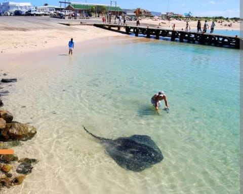 Travellers Treat - 6 Sleeper House just minutes from the beach! House in Western Cape