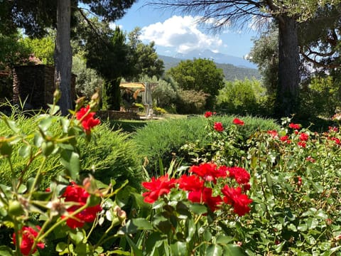 Day, Natural landscape, Garden, View (from property/room), Garden view, Mountain view