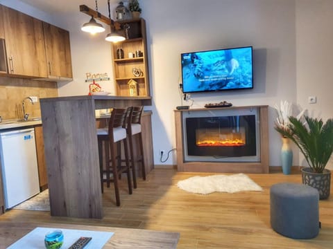 TV and multimedia, Kitchen or kitchenette, Living room, Seating area, Dining area, flat iron, minibar, stove