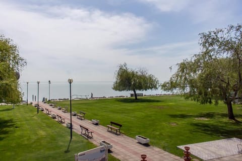 Lake view