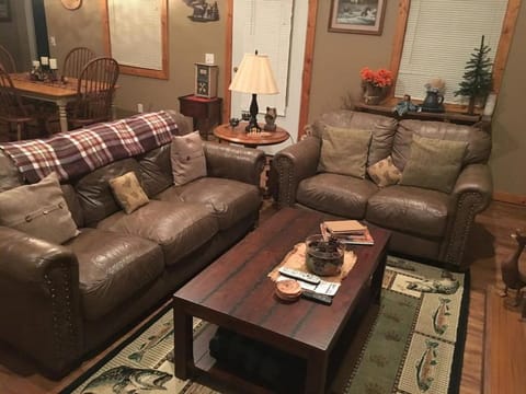 Gas fireplace, firepit, and cedar Adirondack chair House in Tennessee