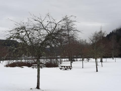 Le chalet de la Chouille Chalet in Xonrupt-Longemer