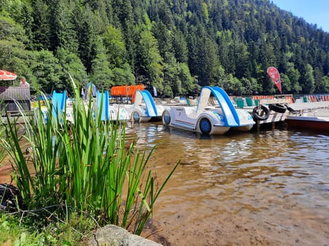 Le chalet de la Chouille Chalet in Xonrupt-Longemer