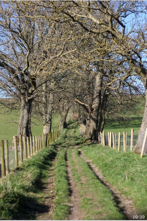 Spacious and bright 1 - bedroom rental unit Apartment in Ilkley