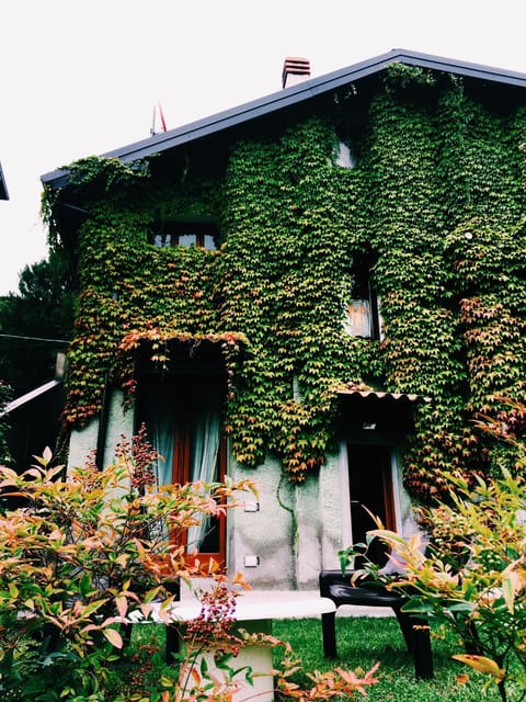 Facade/entrance, Garden