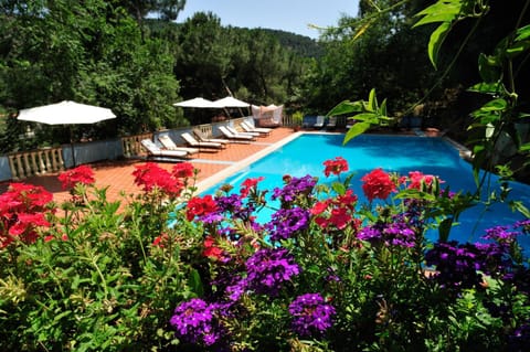 Pool view, Swimming pool, Swimming pool