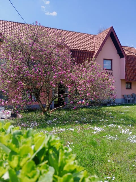 Spring, Day, Natural landscape, Garden view