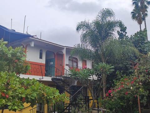 Patio, Balcony/Terrace