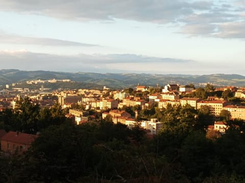 Bienvenue chez Seamora et Maelia Apartment in Saint-Étienne