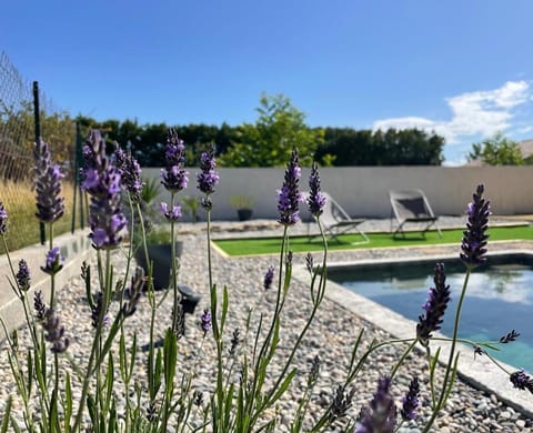 Garden, Garden view, Pool view, Swimming pool, Swimming pool