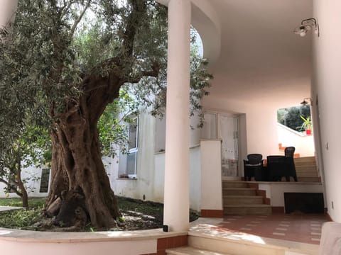 Patio, Facade/entrance