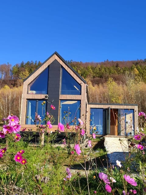 Animals, Animals, Pets, Pets, Garden view, pet friendly, pet friendly