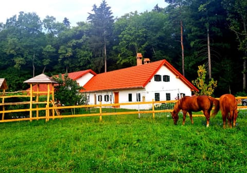 Natural landscape, Animals