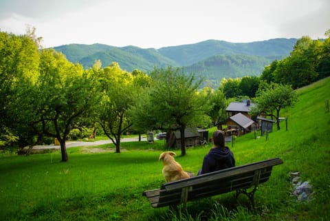 People, Natural landscape, Pets, Mountain view, group of guests