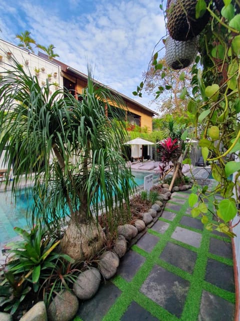 Garden, Swimming pool