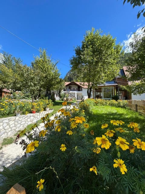 Bujtina Arlindi Bed and Breakfast in Montenegro