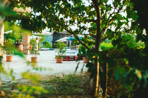 Garden view