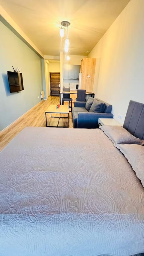 Bed, Living room, Photo of the whole room