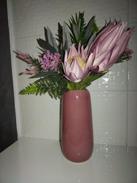 Downtown lux Apartment in Vojvodina