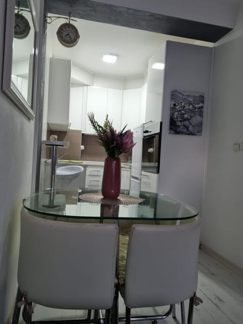 Downtown lux Apartment in Vojvodina