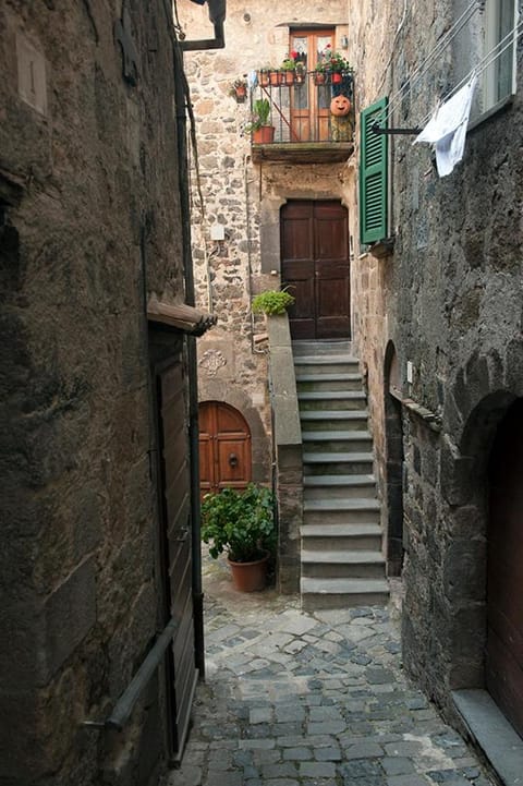 The view with a room Apartment in Bolsena