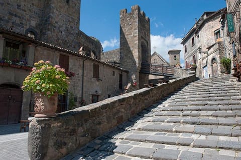 The view with a room Apartment in Bolsena