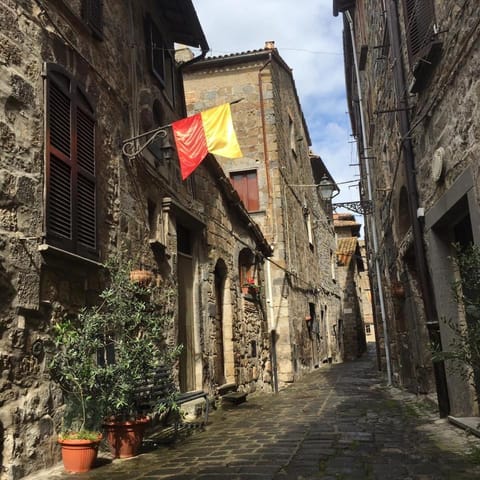 The view with a room Apartment in Bolsena
