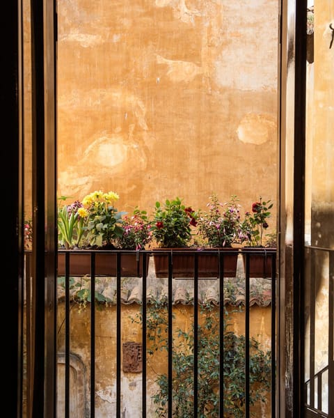 Balcony/Terrace, Garden view