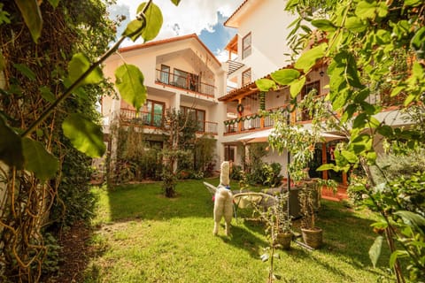 Garden view