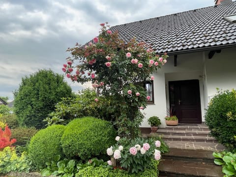 Facade/entrance, Garden