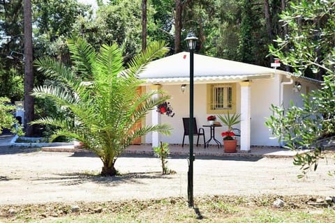 Property building, Facade/entrance, Garden