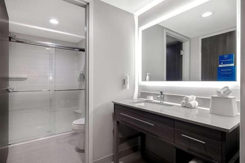 Shower, Toilet, Bathroom, towels