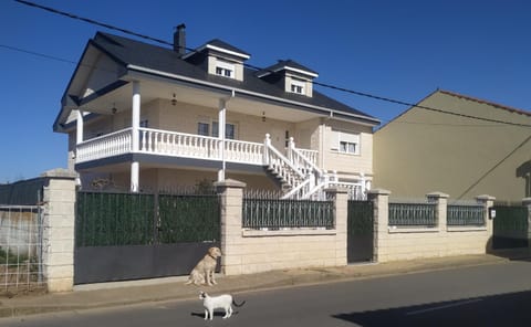 Property building, Pets
