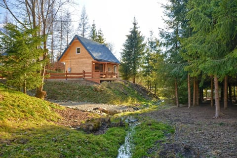 Property building, Garden, Garden view